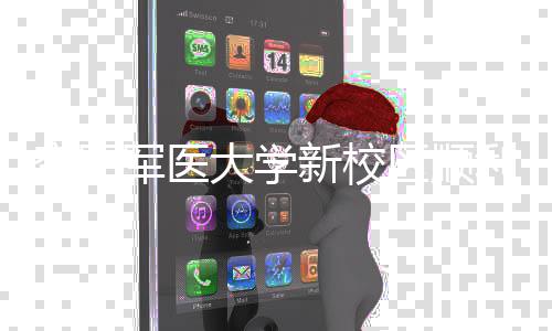 军医计划新校体搬大学利竣年整区顺迁工 空军